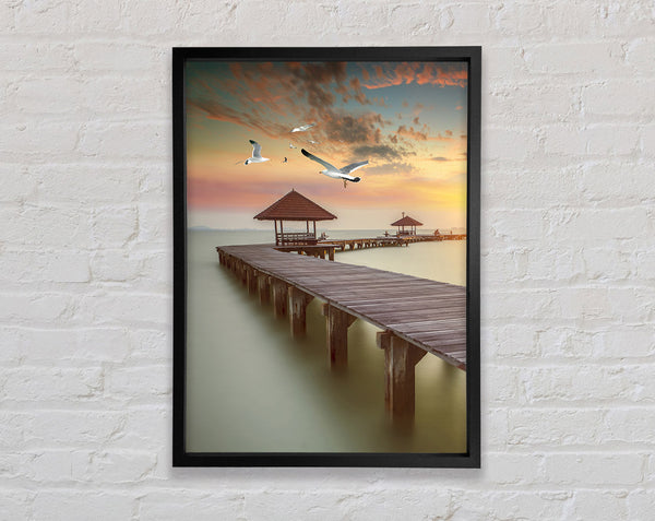 Sunset Walkway And Seagulls