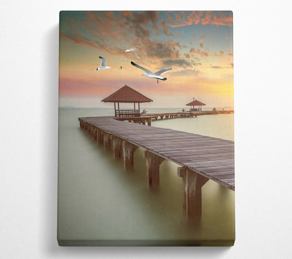 Sunset Walkway And Seagulls