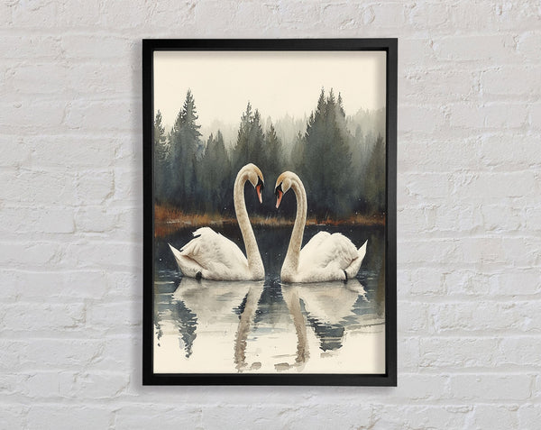 Swan Family