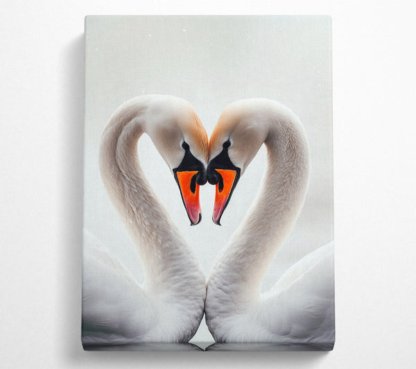 Swan Love Heart