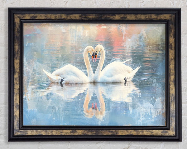 Swan Love Lake