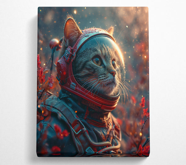 The Space Cat Astronaught