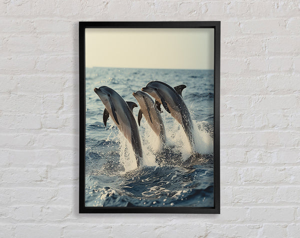 Three Dolphins