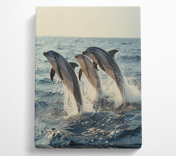 Three Dolphins