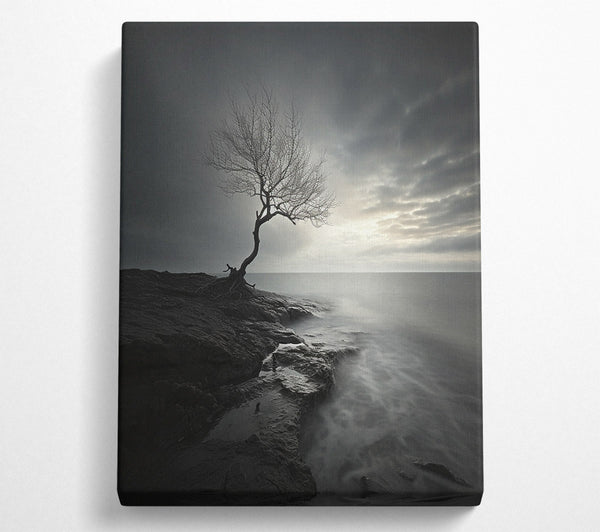 Tree Seascape