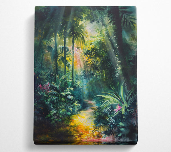 Tropical Forest