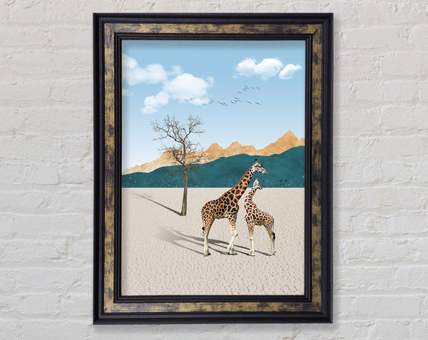 Two Giraffes In Desert