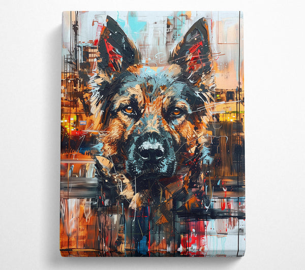 Urban Alsatian