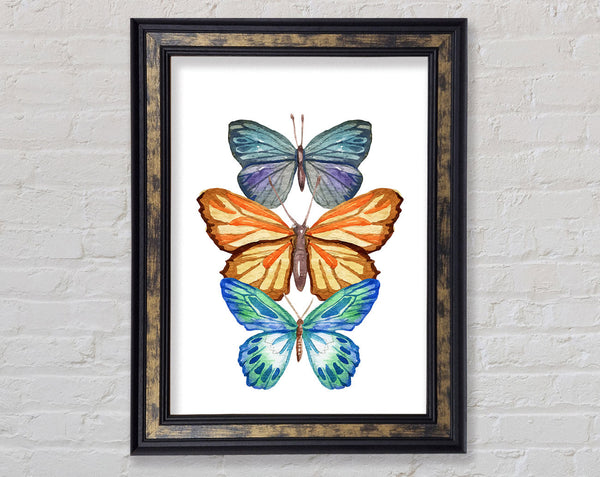 Watercolour Butterflies