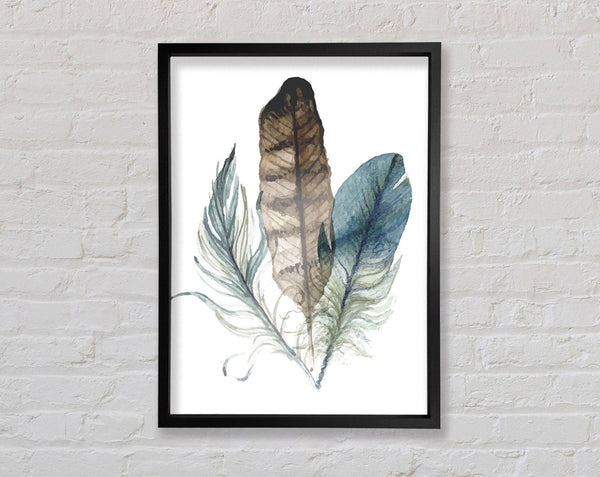 Watercolour Feathers