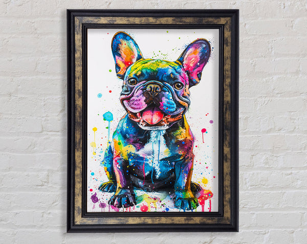 Watercolour Frenchie