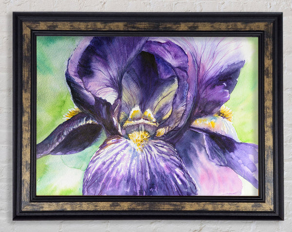 Watercolour Purple Orchid