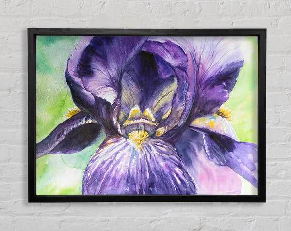 Watercolour Purple Orchid