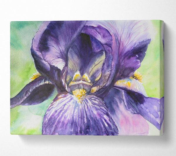 Watercolour Purple Orchid