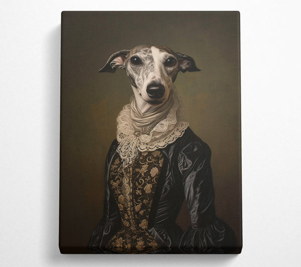 Whippet Regal