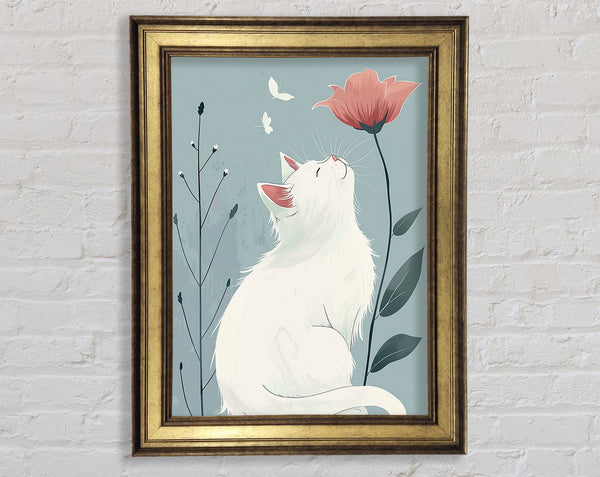 White Cat Flowers