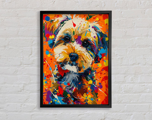 Yorkshire Terrier Graffiti