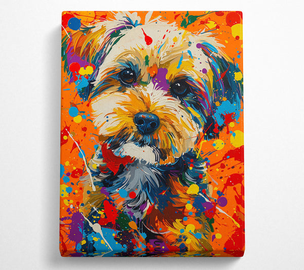 Yorkshire Terrier Graffiti