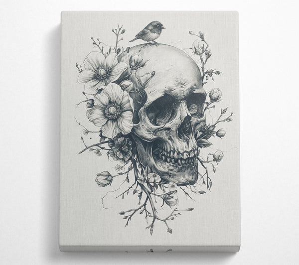 Memento Mori: Beauty In Death