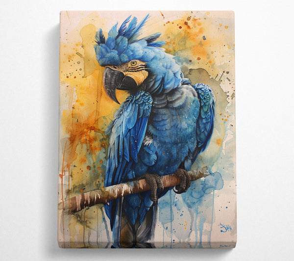 Cobalt Macaw