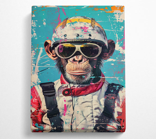 Cool Monkey