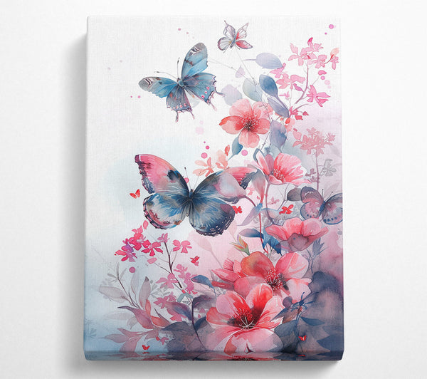 Blossoms And Butterflies