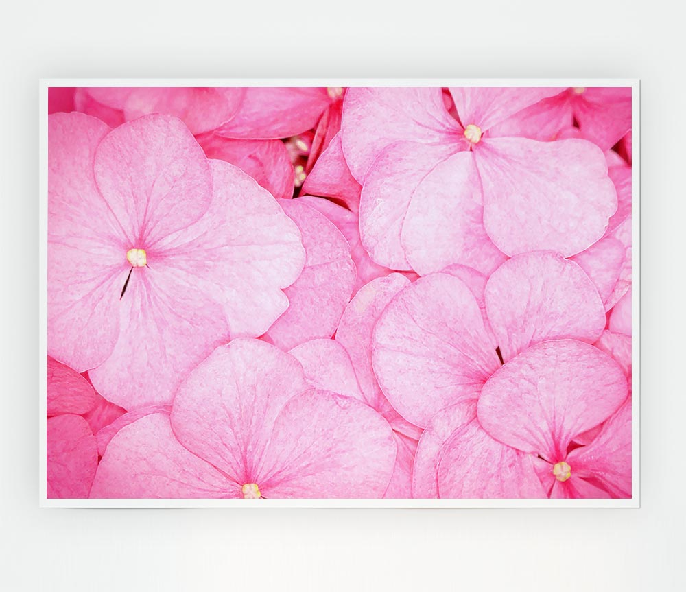 Bed Of Petals Print Poster Wall Art