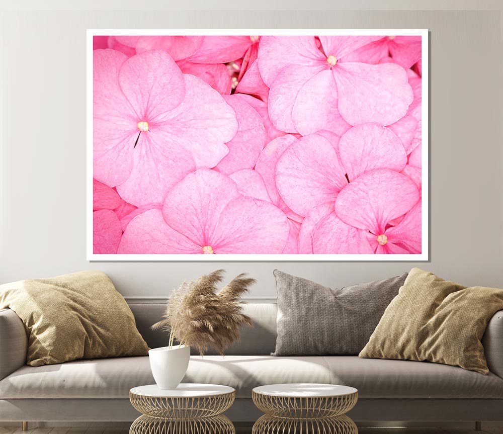 Bed Of Petals Print Poster Wall Art