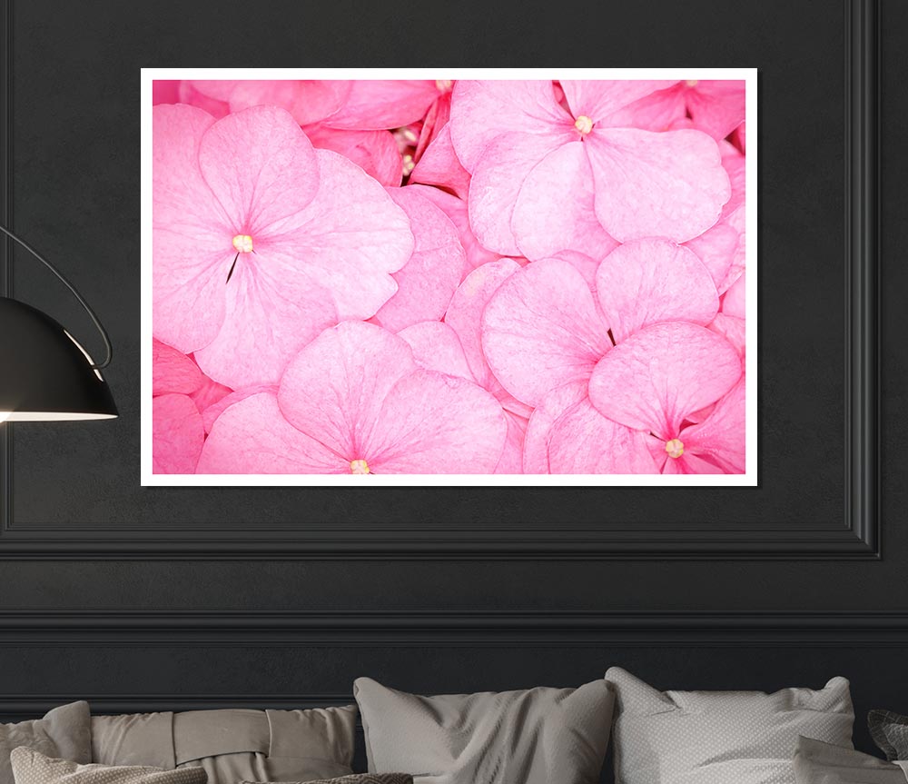 Bed Of Petals Print Poster Wall Art