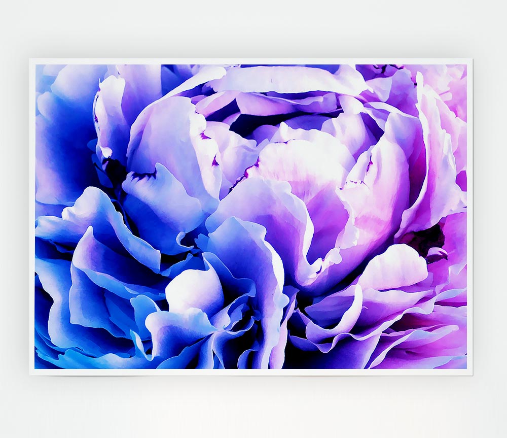 Carnation Beauty Print Poster Wall Art