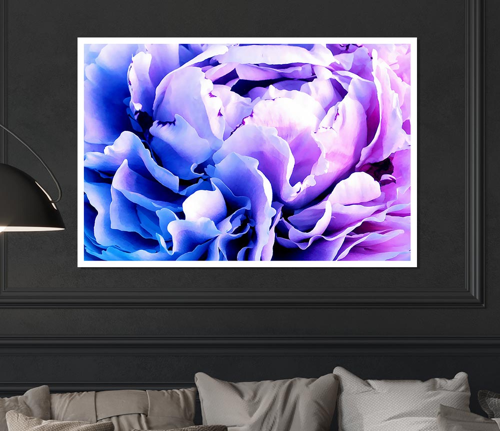 Carnation Beauty Print Poster Wall Art