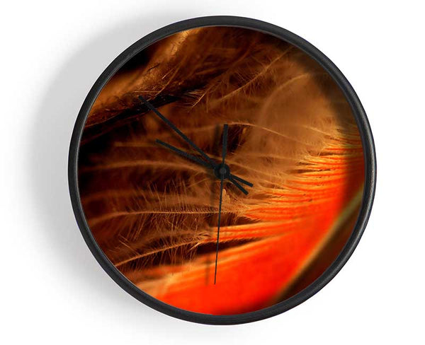 Orange Feather Macro Clock - Wallart-Direct UK