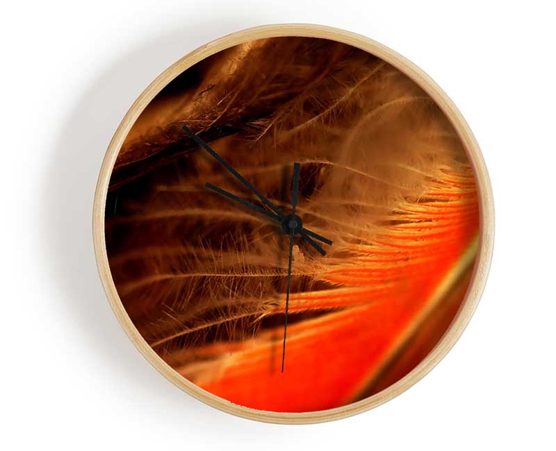 Orange Feather Macro Clock - Wallart-Direct UK