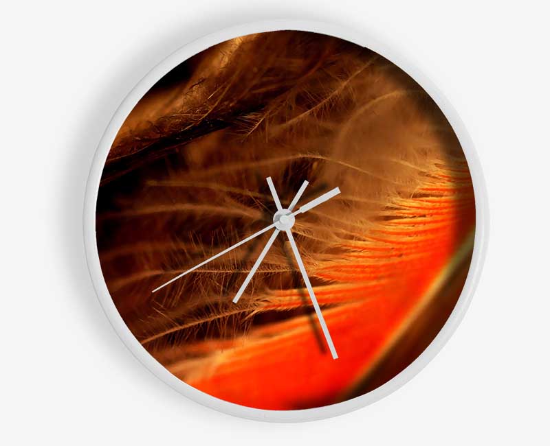 Orange Feather Macro Clock - Wallart-Direct UK