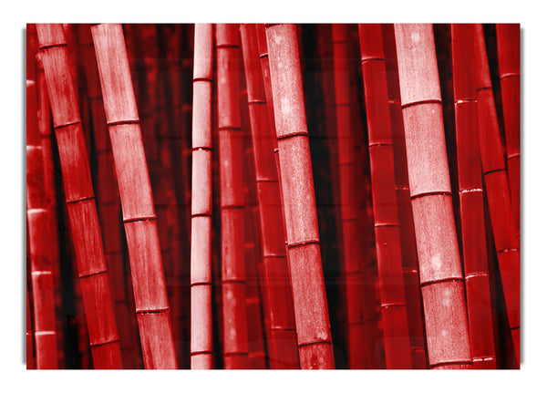 Red Bamboo