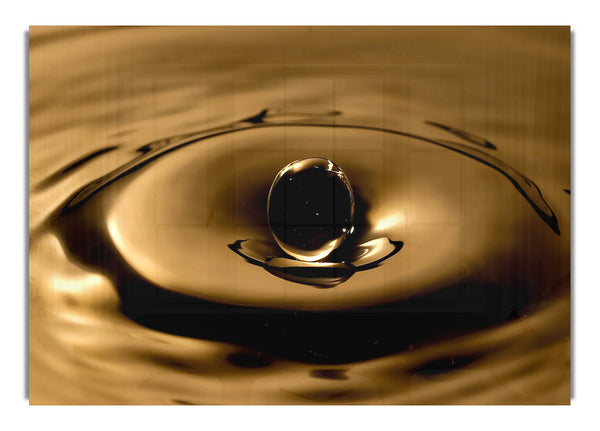 Sepia Water Drop