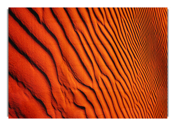 Texture Of The Desert Sands