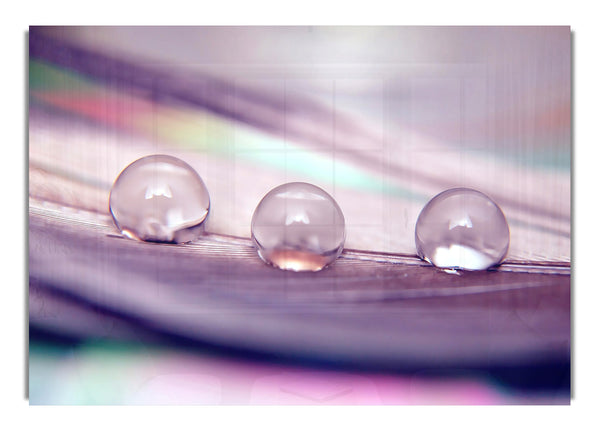 Three Water Drops