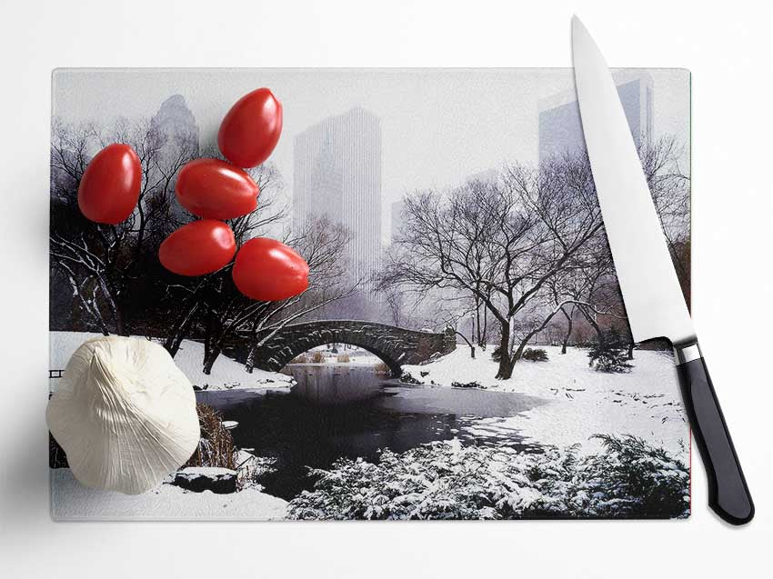 Central Park In Winter Glass Chopping Board