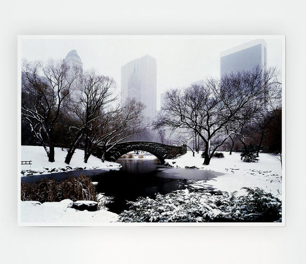 Central Park In Winter Print Poster Wall Art