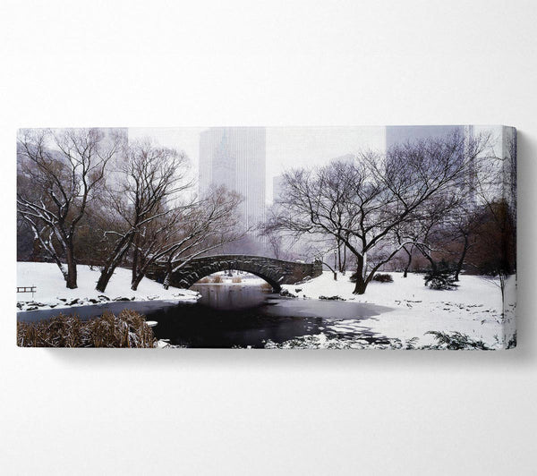 Central Park In Winter