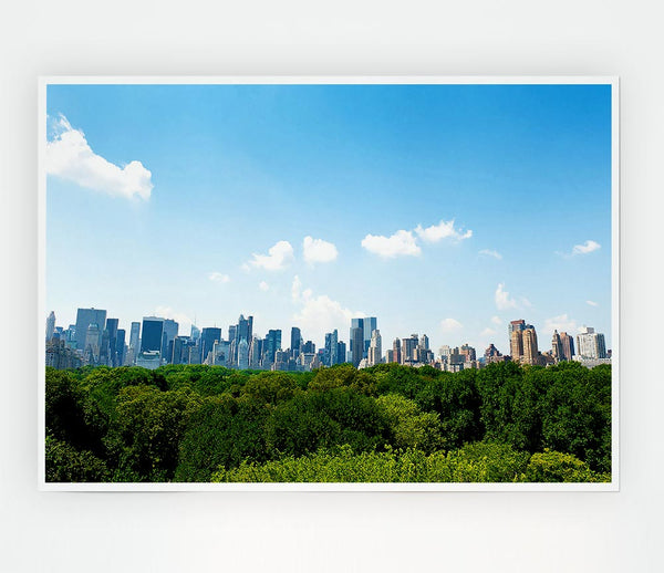 Central Park New York City Print Poster Wall Art