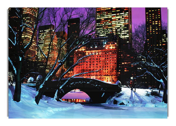 New York City Central Park Nacht Schnee