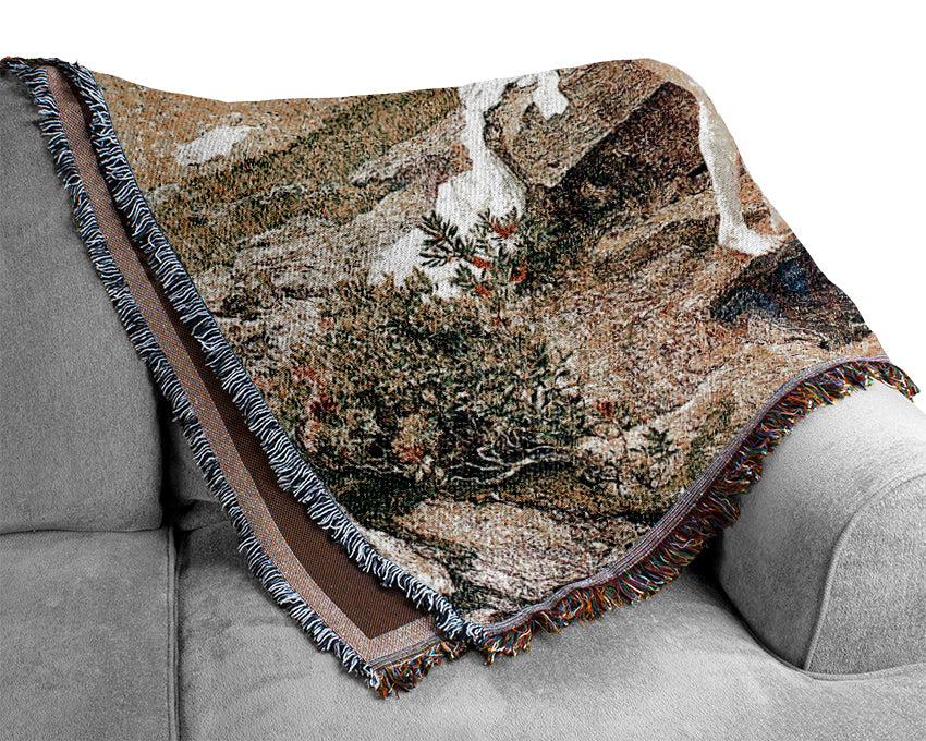 Segantini A Vanity Woven Blanket