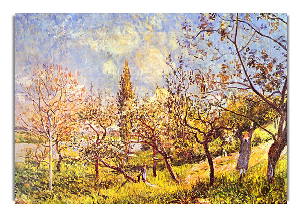 An Orchard In Spring By Sisley