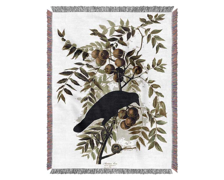 Audubon American Crow Plate 156 Woven Blanket