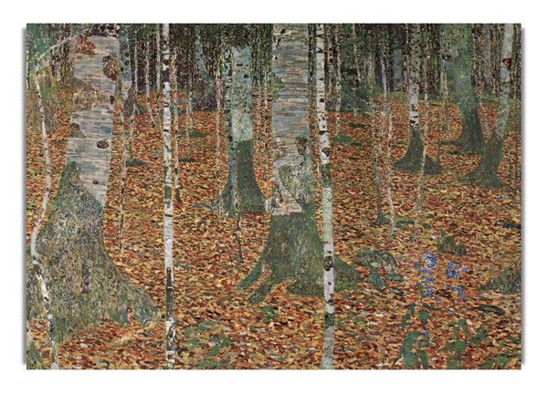 Birch Forest By Klimta