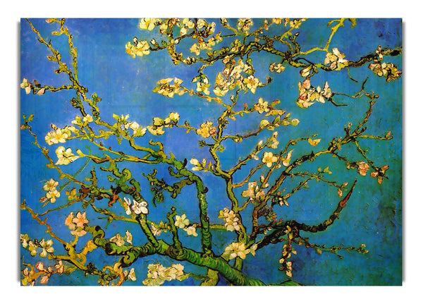 Blossoming Almond Tree By Van Gogh