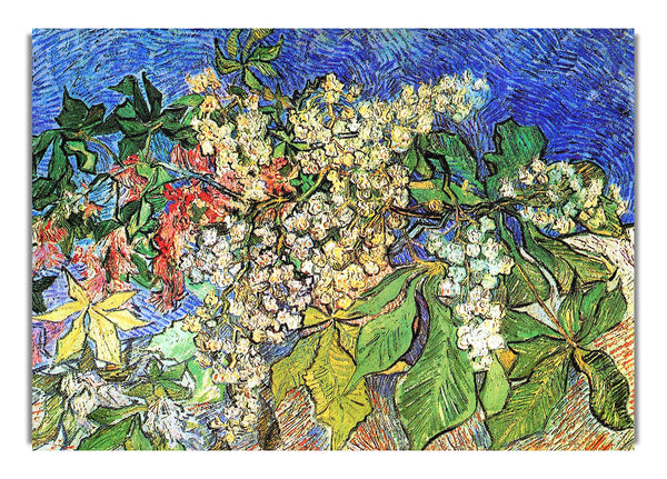 Blossoming Chestnut Branches By Van Gogh