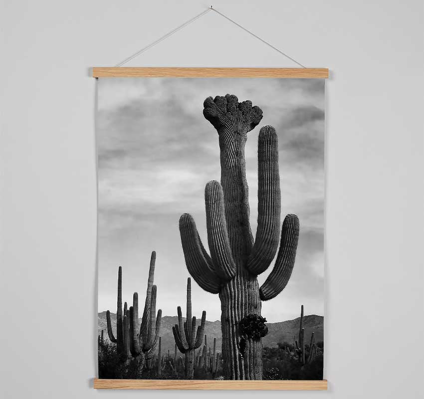 Ansel Adams Cactus In Saguaro National Monument In Arizona B n W Hanging Poster - Wallart-Direct UK